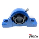 Pillow Block - Cast and Bearing Unit (GG)