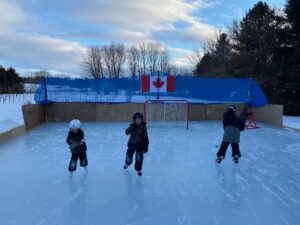 Ice rink tarp